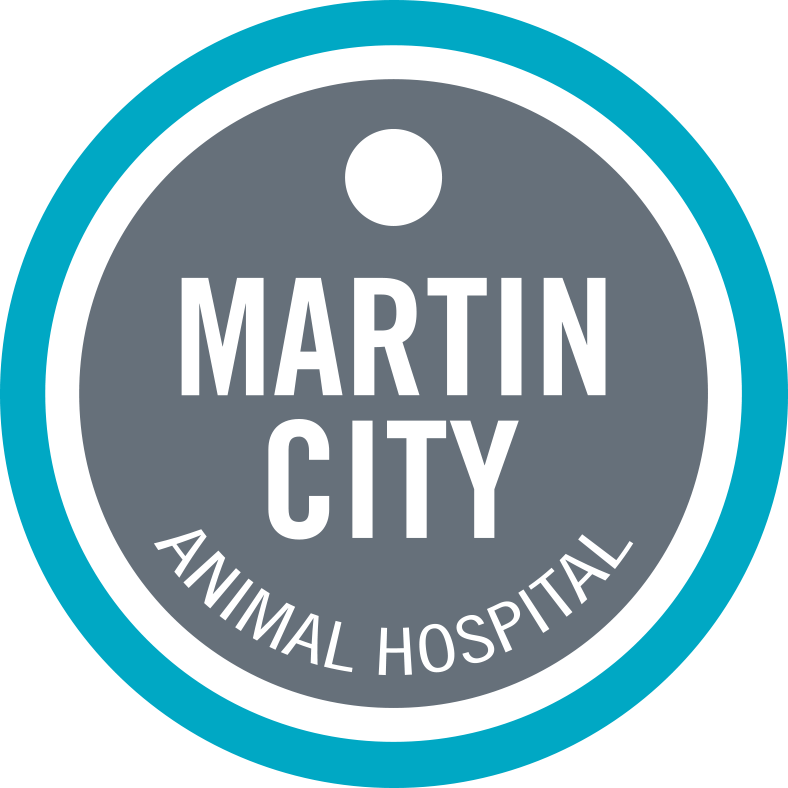 CONTACT US Wildcat Vet